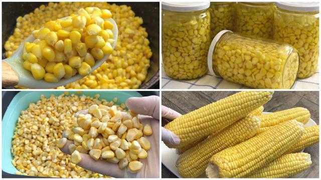 ارتفاع العقود الآجلة للذرة في مستهل التداولات ببورصة شيكاغو