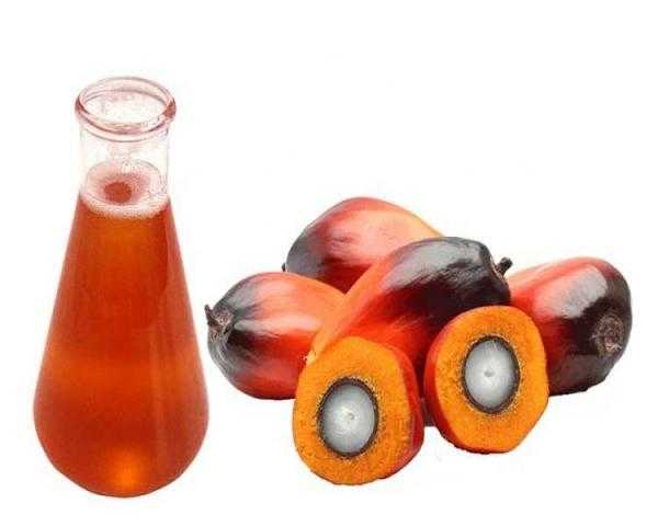 استقرار العقود الآجلة لزيت النخيل عند 1312.50 دولار للطن