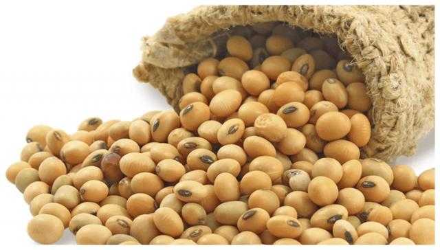 عقود بذرة الصويا تنخفض عند نهاية تداولات اليوم ببورصة شيكاغو