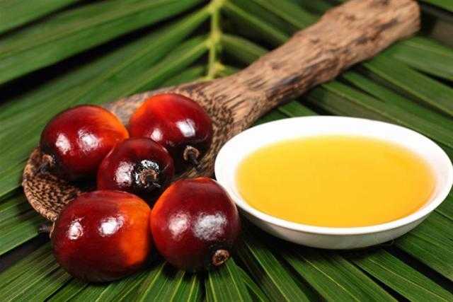العقود الأجلة لزيت النخيل تهبط 10 دولارًا في الجسلة الصباحية