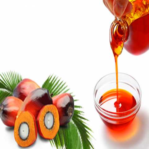 تراجع العقود الآجلة لزيت النخيل عند ختام تداولات بورصة ماليزيا