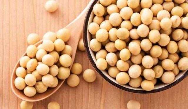 بذرة الصويا تواصل الانخفاض عند تسوية تداولات الثلاثاء ببورصة شيكاغو