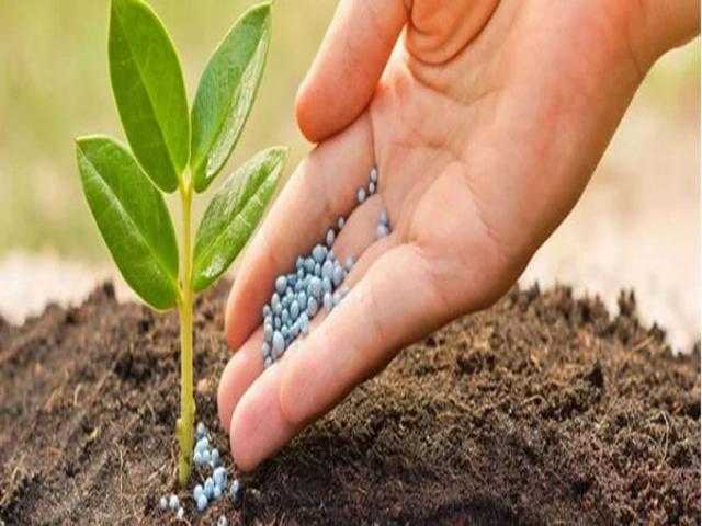 استقرار أسعار الأسمدة محليًا وعالميًا اليوم الأربعاء 13 أكتوبر 2021
