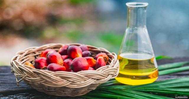العقود الآجلة لزيت النخيل تتراجع عن أعلى مستوياتها في الجلسة الصباحية
