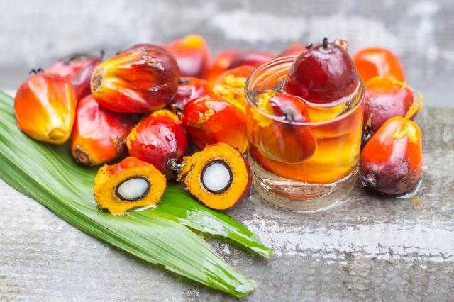 ارتفاع أسعار العقود الآجلة لزيت النخيل في بورصة ماليزيا مع تراجع الرينجت