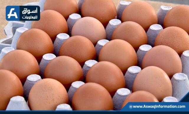 ارتفاع أسعار البيض الأبيض اليوم الثلاثاء 19 أكتوبر