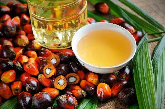 العقود الآجلة لزيت النخيل تسجل 1322.5 دولارًا بختام تداولات ماليزيا الصباحية