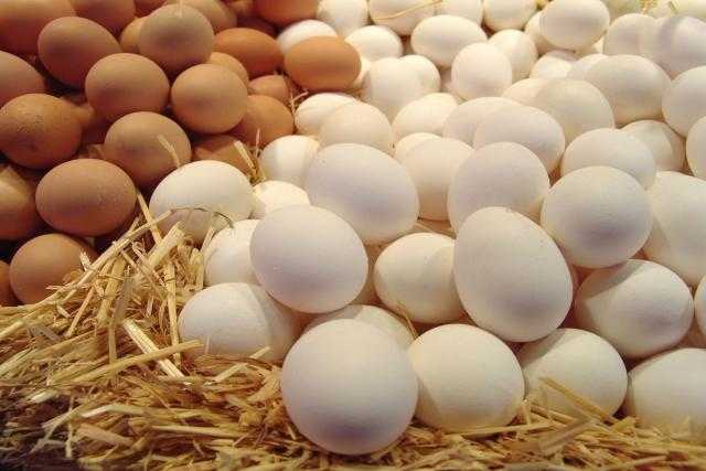 ارتفاع أسعار البيض للمستهلك اليوم الأحد