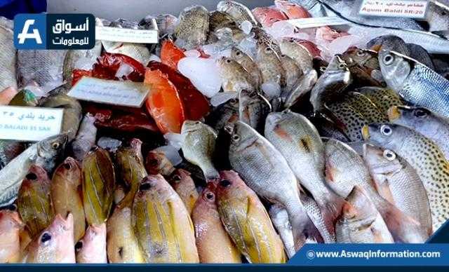 البوري بـ32 جنيهًا للكيلو .. أسعار الأسماك بالسوق
