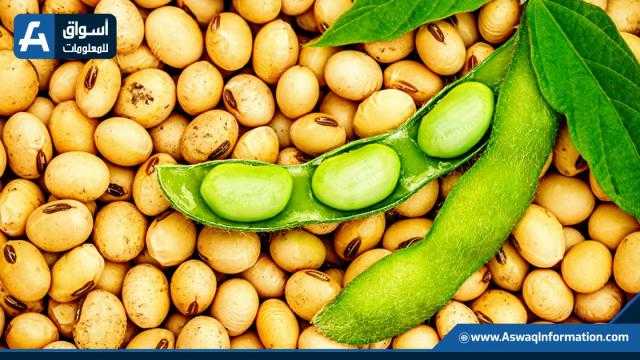 ارتفاع أسعار فول الصويا بدعم من الطلب على الصادرات ببورصة شيكاغو