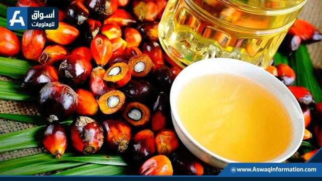 العقود الآجلة لزيت النخيل تربح 30 دولارًا بتداولات ماليزيا اليوم