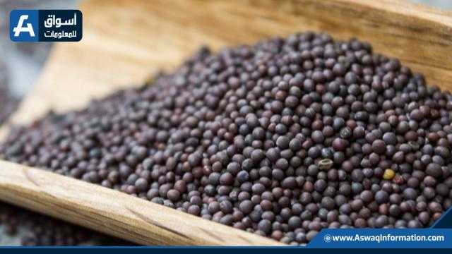 روسيا تصدر كميات قياسية من بذور اللفت