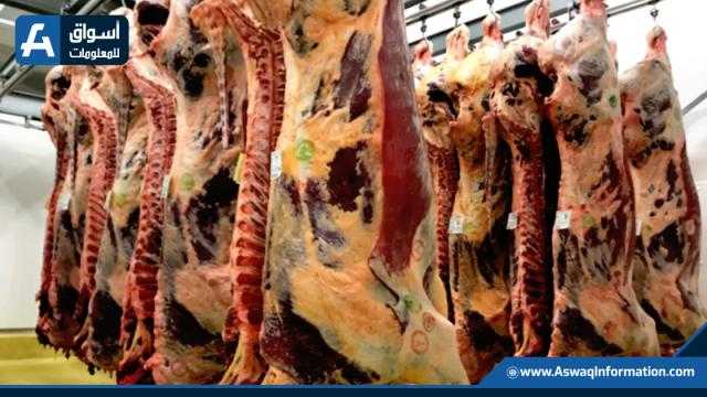 استقرار أسعار اللحوم بالأسواق الأربعاء 3 نوفمبر 2021
