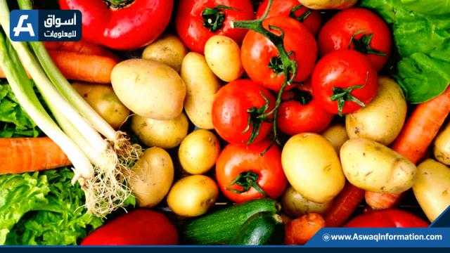البصل الأحمر بـ6 جنيهات والأبيض عند 5 جنيهاً .. أسعار الخضروات بالسوق