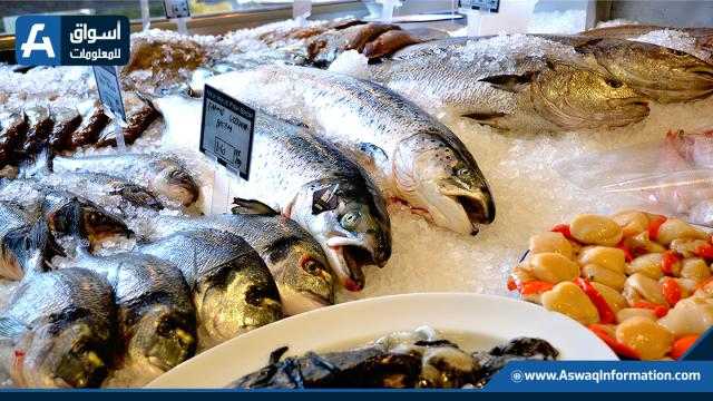 البلطي بـ30 جنيهًا للكيلو والبوري عند 75 جنيهاً ..أسعار الأسماك لدى الباعة