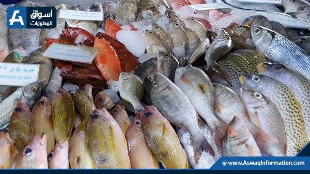 استقرار أسعار الأسماك في السوق المحلي اليوم الجمعة 29 أكتوبر