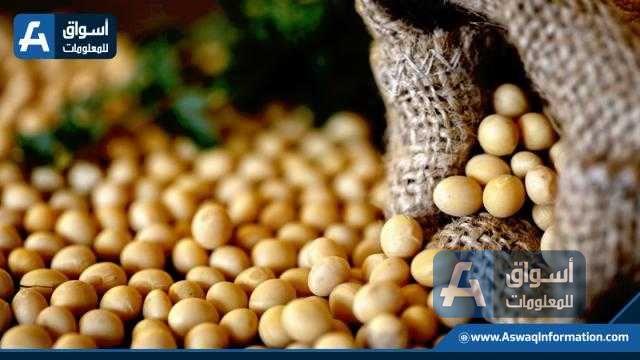 انخفاض عقود فول الصويا الآجلة في بداية تداولات جلسة نهاية الأسبوع