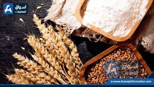 انخفاض أسعار القمح الأمريكي ببداية تداولات جلسة اليوم الجمعة