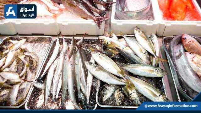 تعرف على أسعار الأسماك والمأكولات البحرية اليوم
