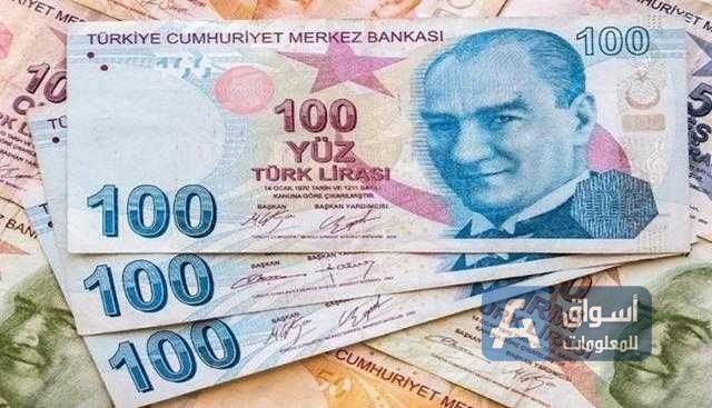 الليرة التركية تقترب من أدنى مستوياتها مع استمرار المخاوف بشأن السياسة
