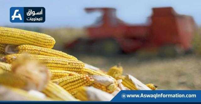 العقود الآجلة للذرة تغلق على تراجع للجلسة الثانية ببورصة شيكاغو