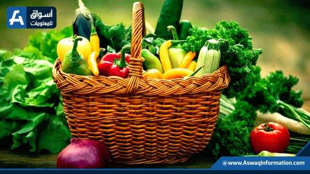 باستثناء بعض الأصناف.. ثبات أسعار الخضراوات اليوم لدى المستهلك