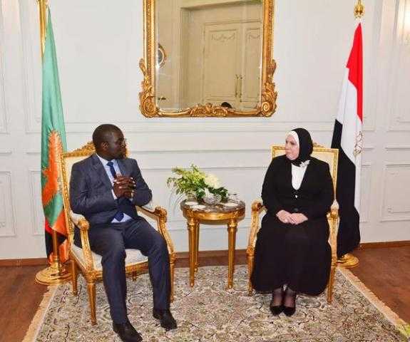 جامع: 15.1 مليون دولار حجم التبادل التجاري بين مصر وزامبيا خلال عام 2020