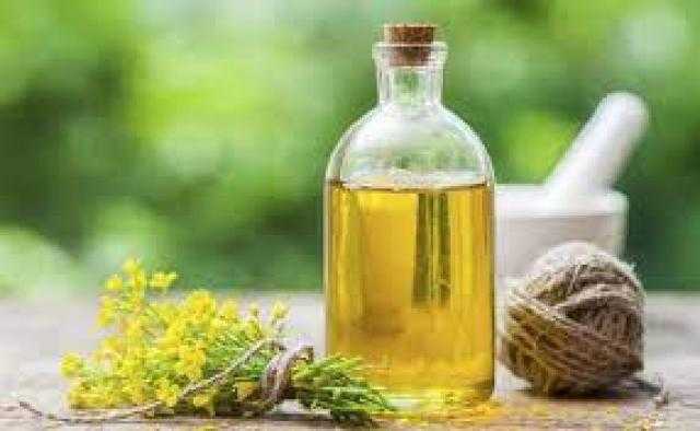 روسيا تعزز موقعها في السوق العالمية لزيت بذور اللفت