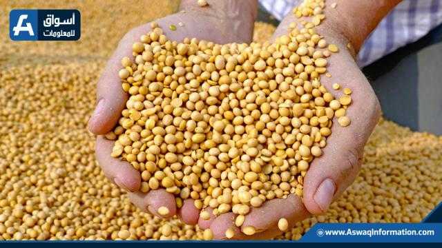 انخفاض العقود الآجلة لفول الصويا بإغلاقات شيكاغو اليوم الأربعاء