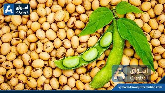 للجلسة الثانية .. عقود البذرة تفتتح تداولات اليوم علي ارتفاع