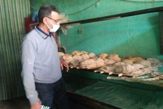 أسماك ولحوم ودواجن فاسدة.. جهود مباحث التموين في محافظات الجمهورية
