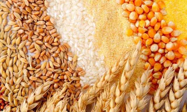 توقعات بتراجع صادرات الحبوب من أوكرانيا بأكثر من 60%