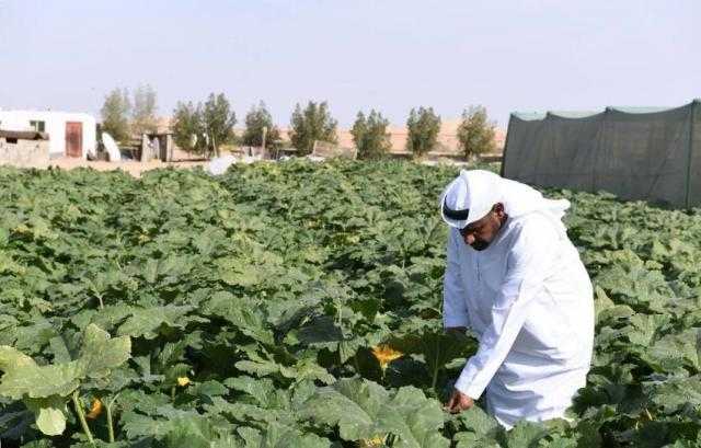 سلطنة عمان: توقيع 4 اتفاقيات للاستثمار في القطاع الزراعي بـ12 مليون ريال عُماني
