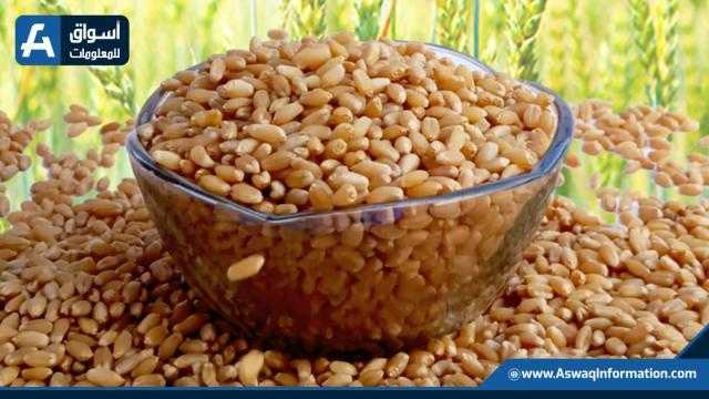 ارتفاع العقود الآجلة للقمح في افتتاح جلسة نهاية الأسبوع