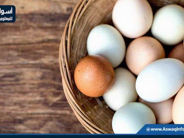 سعر كرتونة البيض يستقر اليوم للمستهلك