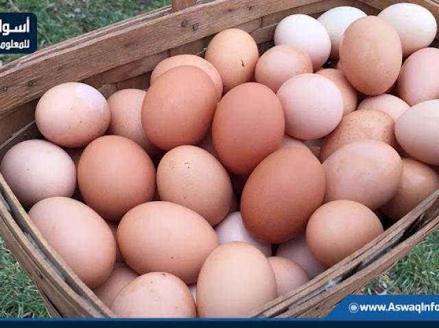 تعرف على سعر كرتونة البيض اليوم بالمزرعة