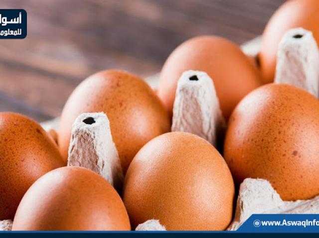 سعر كرتونة البيض اليوم للمستهلك