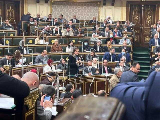 السعيد تناقش مشروع قانون التخطيط العام للدولة في مجلس النواب