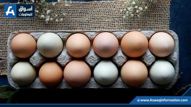 سعر كرتونة البيض للمستهلك