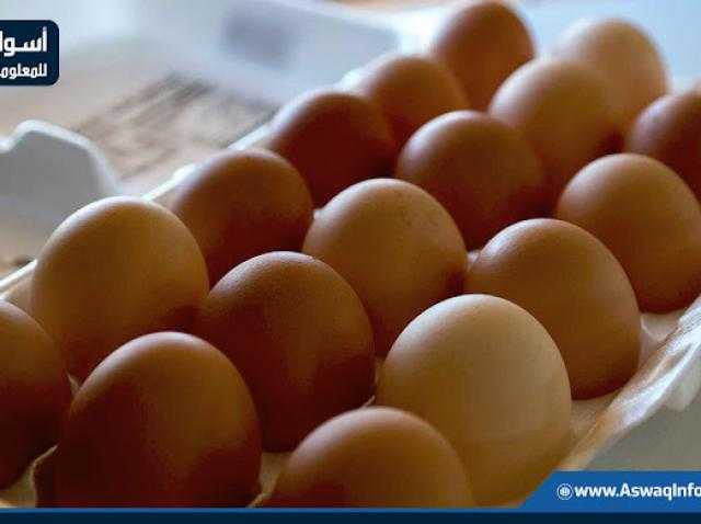 استقرار سعر كرتونة البيض اليوم بالمزرعة