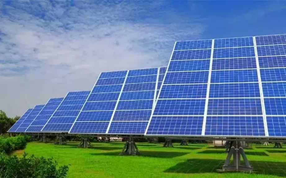 مجلس الوزراء يمنح الرخصة الذهبية لمشروع طاقة شمسية بقدرة 1000 ميجاوات