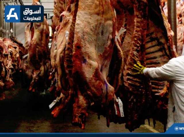 الثبات يخيم على أسعار اللحوم بالمزرعة