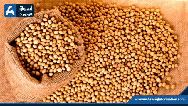 عقود بذرة الصويا تواصل تحقيق المكاسب في شيكاغو
