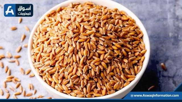 عقود القمح ترتفع 20 سنتاً عند الافتتاح ببورصة شيكاغو