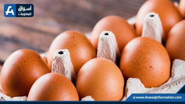 سعر كرتونة البيض الأحمر يرتفع اليوم للمستهلك