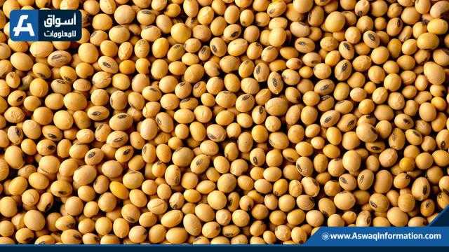 تراجع العقود الآجلة لبذرة الصويا في بورصة شيكاغو