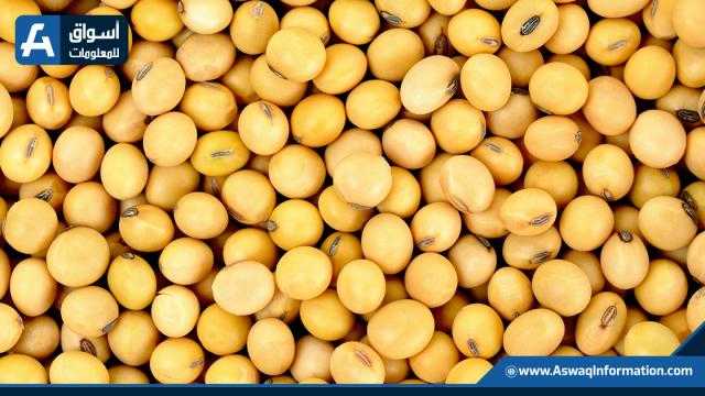 بذرة الصويا تنهي أخر تداولات الأسبوع على ارتفاع