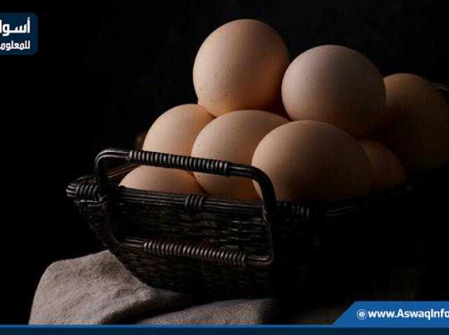 سعر طبق البيض اليوم للمستهلك