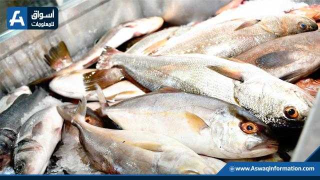 أسعار الأسماك اليوم الأحد تحافظ على استقرارها لدى المستهلك