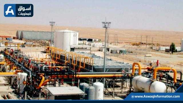 اقتصادية قناة السويس: تفريغ 8981 طن رخام وتداول 19 سفينة بموانئ بورسعيد